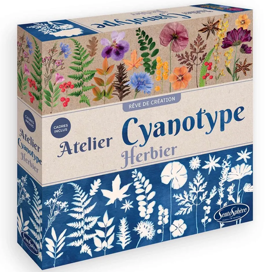 Sentosphère Atelier Cianotipos Herbario