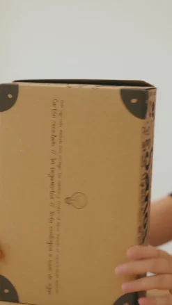 zapato FEROZ Bernia Rocker AW25 Clearance