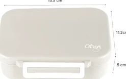 Citron Caja Almuerzo de tritán Aeronave Online