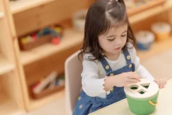 Plantoys Cubo clasifica figuras · Sale