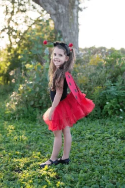 Great Pretenders Disfraz Mariquita Glitter · 4-6 años New