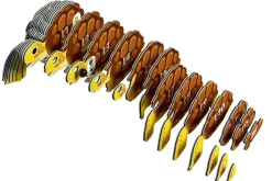 EUGY · Tortoise Clearance