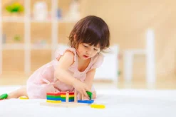 Plantoys Figuras Geometricas Best