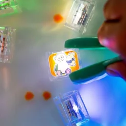 Glo Pals GloPals Set regalo Zoo 6 cubos de luz Zoo Discount