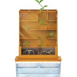 4M GreenScience Haz crecer tus plantas Laberinto ·