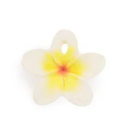 Oliu0026Carol Hawaii The Flower Hot