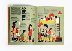 Litera Historia ilustrada del rock Discount