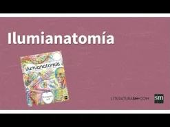 SM Ilumianatomía Outlet