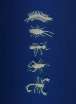 Moulin Roty Insectos Fluorescentes · Sale