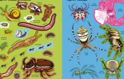 Usborne Libro de pegatinas Bichitos New