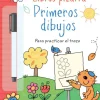Usborne Libro Pizarra · Primeros dibujos New