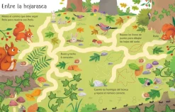 Usborne Libro Pizarra · Vamos al bosque New