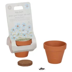 Little Dutch Maceta planta No me Olvides · Online