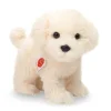 Hermann Teddy Maltese dog standing 23 cm · Discount