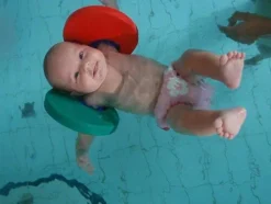 Delphin Manguitos New