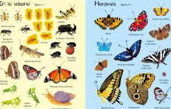 Usborne Mi primer libro de pegatinas · Bichitos Outlet
