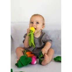 Oliu0026Carol Mini Doudou Mordedor · John Lemon Best