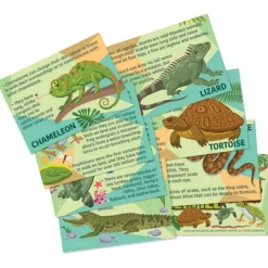 4M Moldea y Pinta Reptiles y Anfibios · New