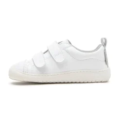 zapato FEROZ Moraira Rocker AW25 Discount