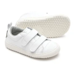 zapato FEROZ Moraira Rocker AW25 Discount