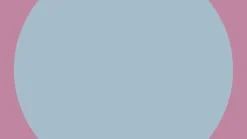 Yvolution Patines Twista Lila · Discount