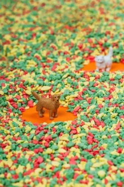 Petit Boum · Spy Bottle Pets Online