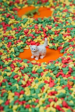 Petit Boum · Spy Bottle Pets Online