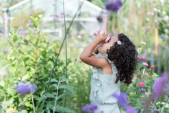 Little Dutch Prismáticos Fairy Garden FSC · Sale