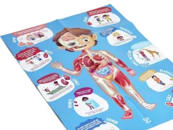 Hape Puzzle Cuerpo Humano ·