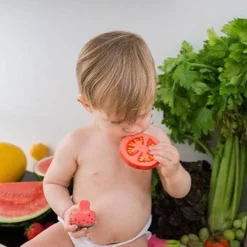 Oliu0026Carol Renato the Tomato New