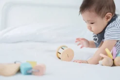 Plantoys Roller Pastel Sale