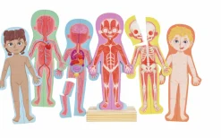 Hape Rompecabezas magnético del cuerpo humano ·