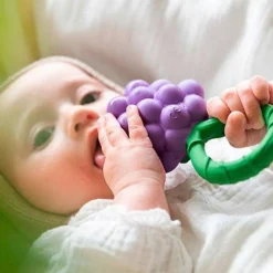 Oliu0026Carol Sonajero · Grape Rattle Toy Discount