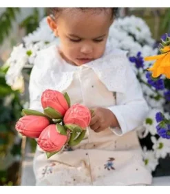 Oliu0026Carol Theo the Tulip Hot