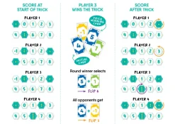 FlexiQ Twhist · New